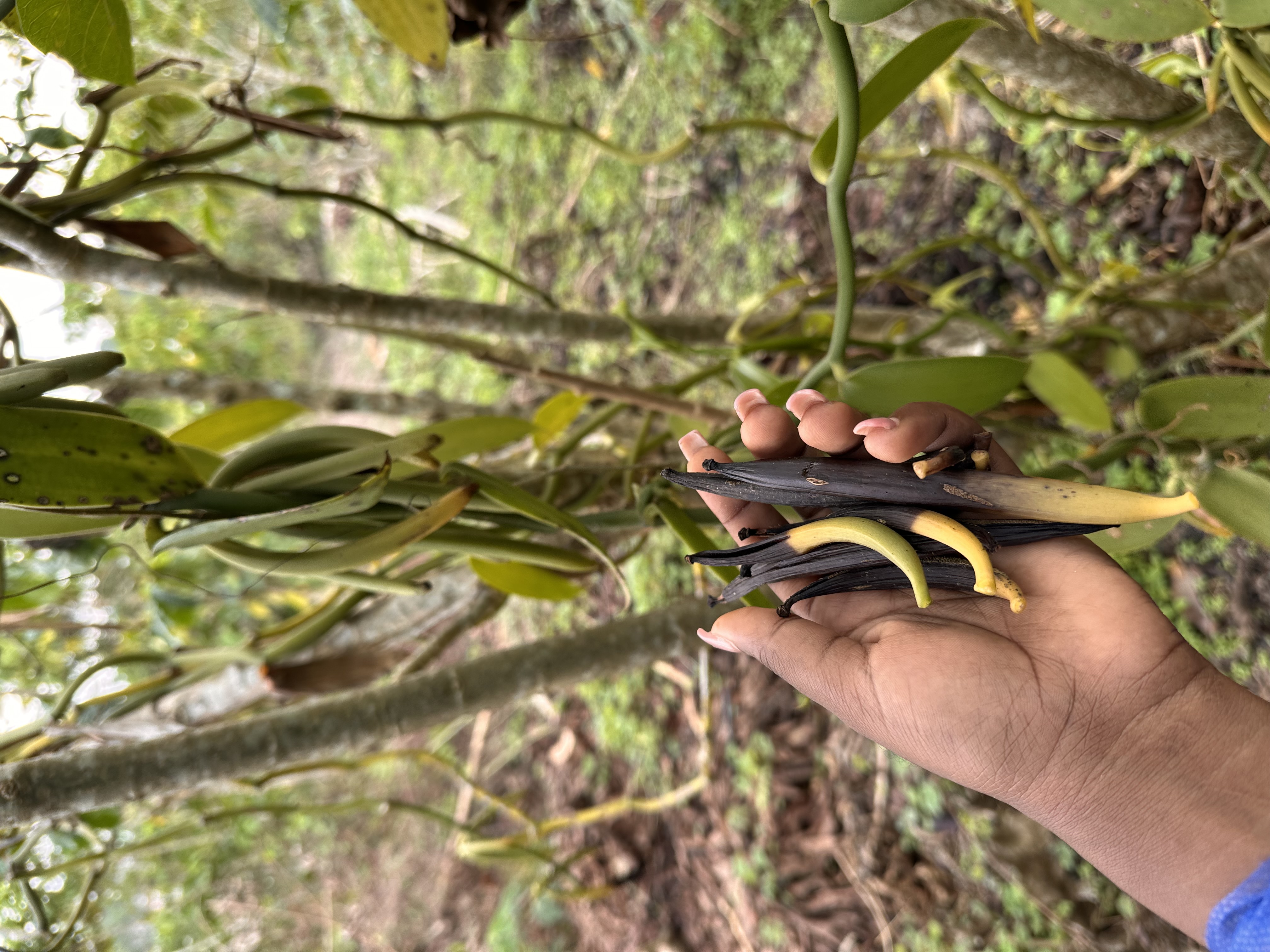 Community Engagement